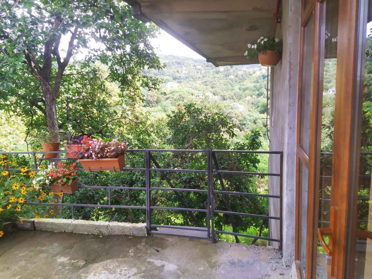 הוילה 53 Jincharadze Street Makhinjauri, באטומי מראה חיצוני תמונה